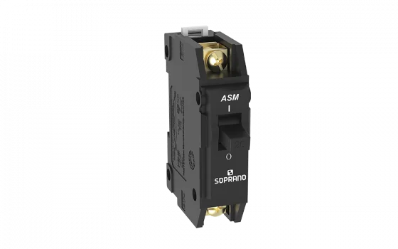 DISJ. ASM1-B 30A - Soprano