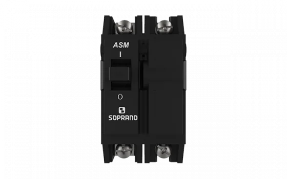 DISJ. ASM2-B 30A - Soprano