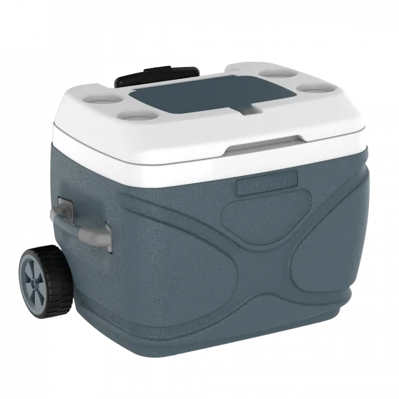 CAIXA TERMICA EVEREST 66L CINZA