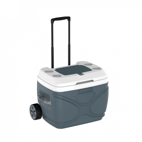 CAIXA TERMICA EVEREST 66L CINZA
