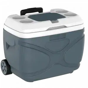 LittleAntiqueGarden‼️‼️エアコン CAIXA TERMICA EVEREST 30L CINZA