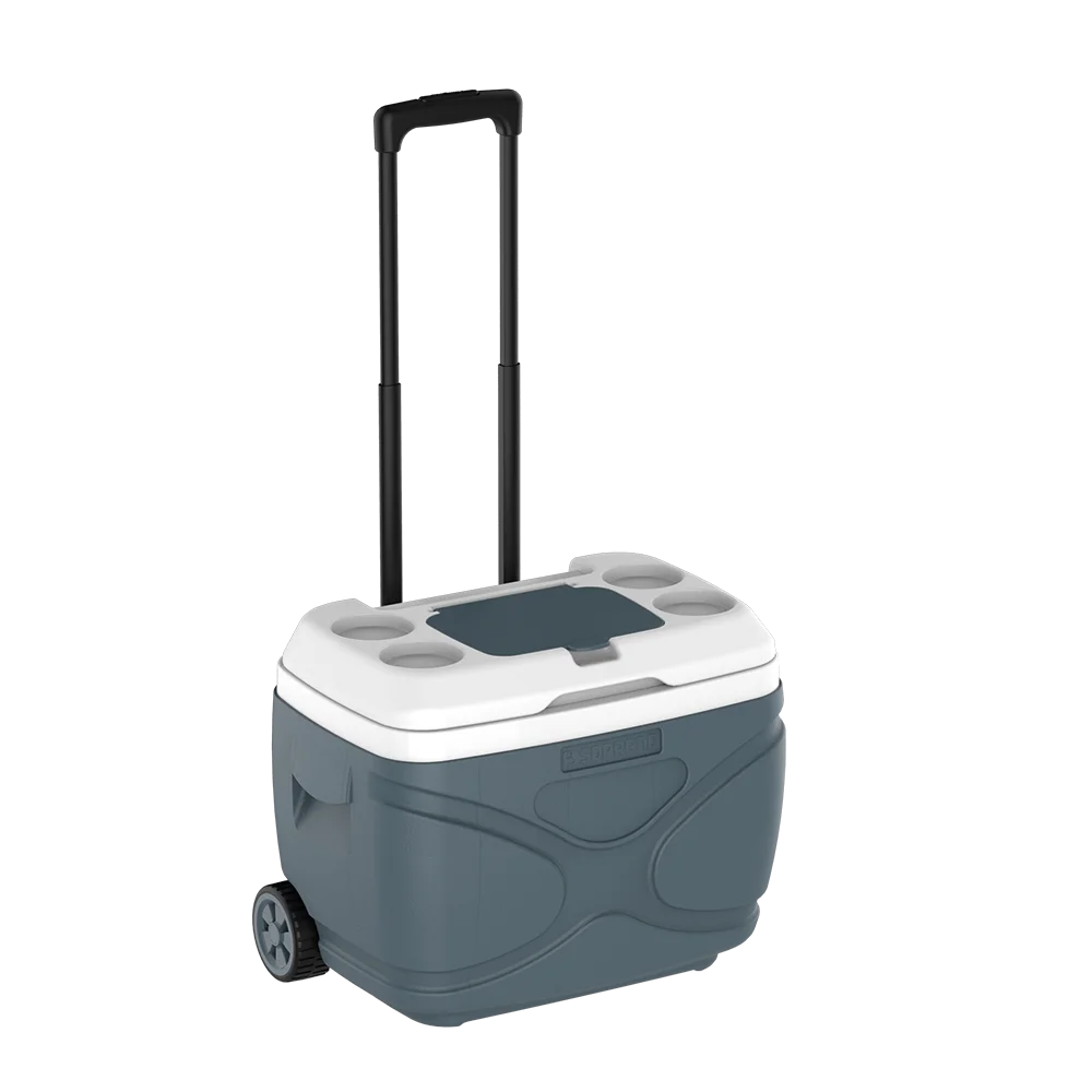CAIXA TERMICA EVEREST 30L CINZA CAIXA TERMICA EVEREST 30L CINZA