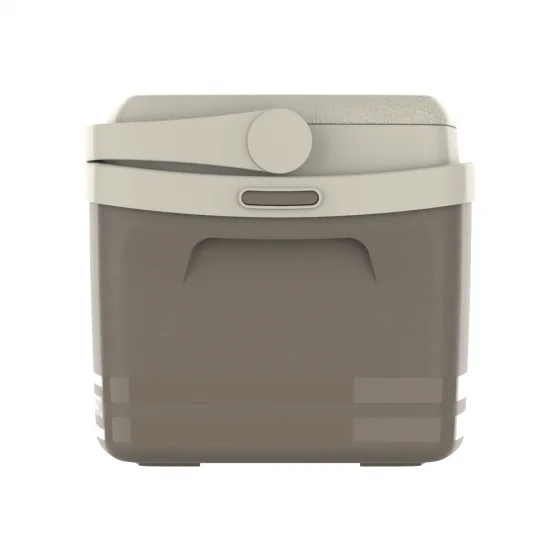 CAIXA TERMICA TROPICAL 12L FENDI - Soprano