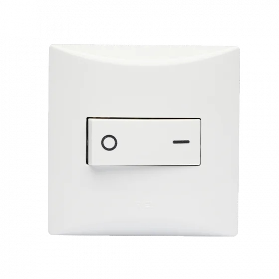 541041 CJ 1 INT BIPOL SIMP 10A 250V BR SS - Soprano